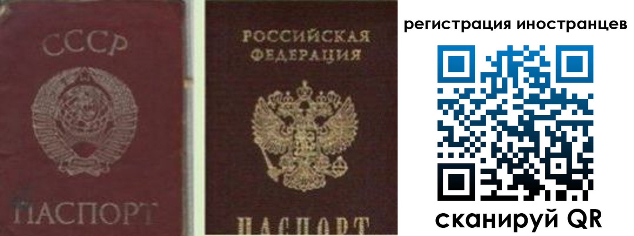 прописка в Губкине